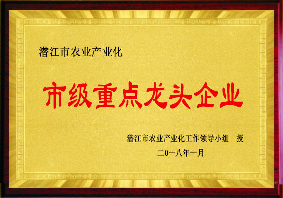市級(jí)重點(diǎn)龍頭企業(yè)